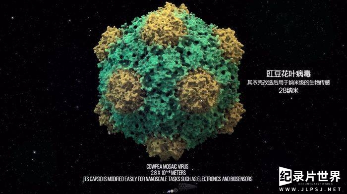 澳大利亚纪录片《大小对比：从量子泡沫到可见宇宙 Size Comparison of the Universe》英语中英双字 