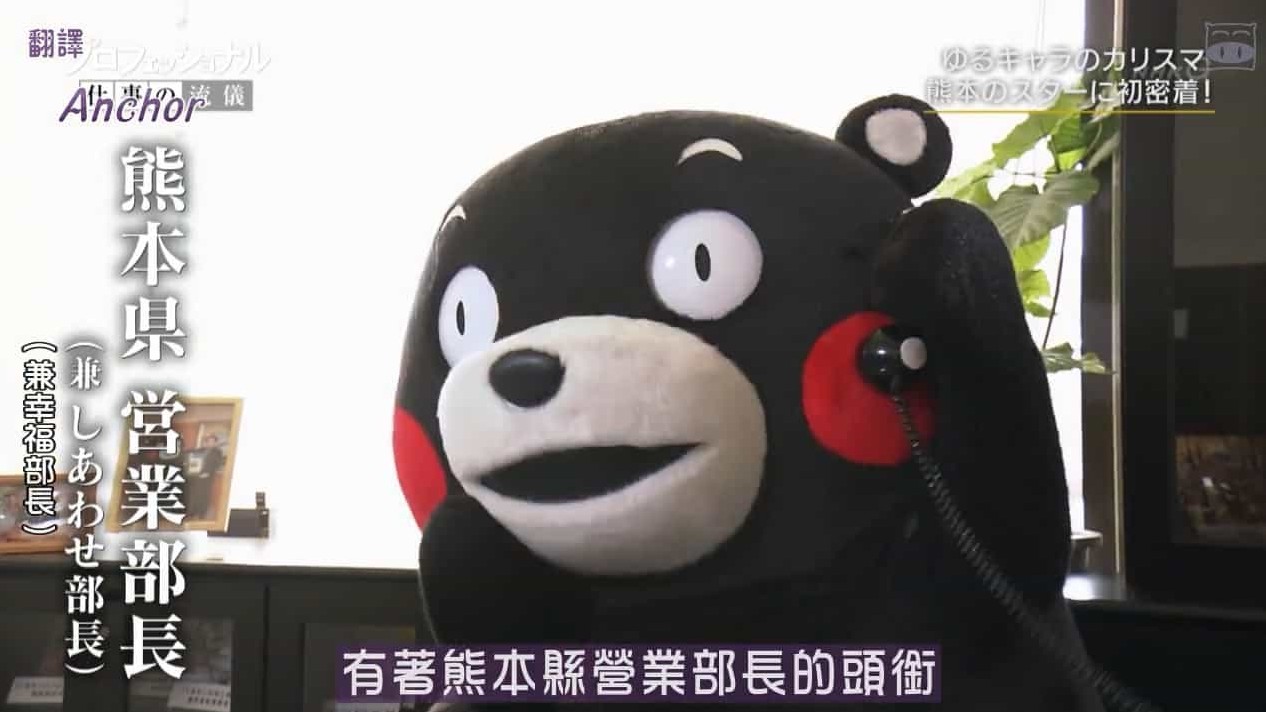 NHK纪录片《行家本色系列：地方公务员 熊本熊 2019》日语中字 720P