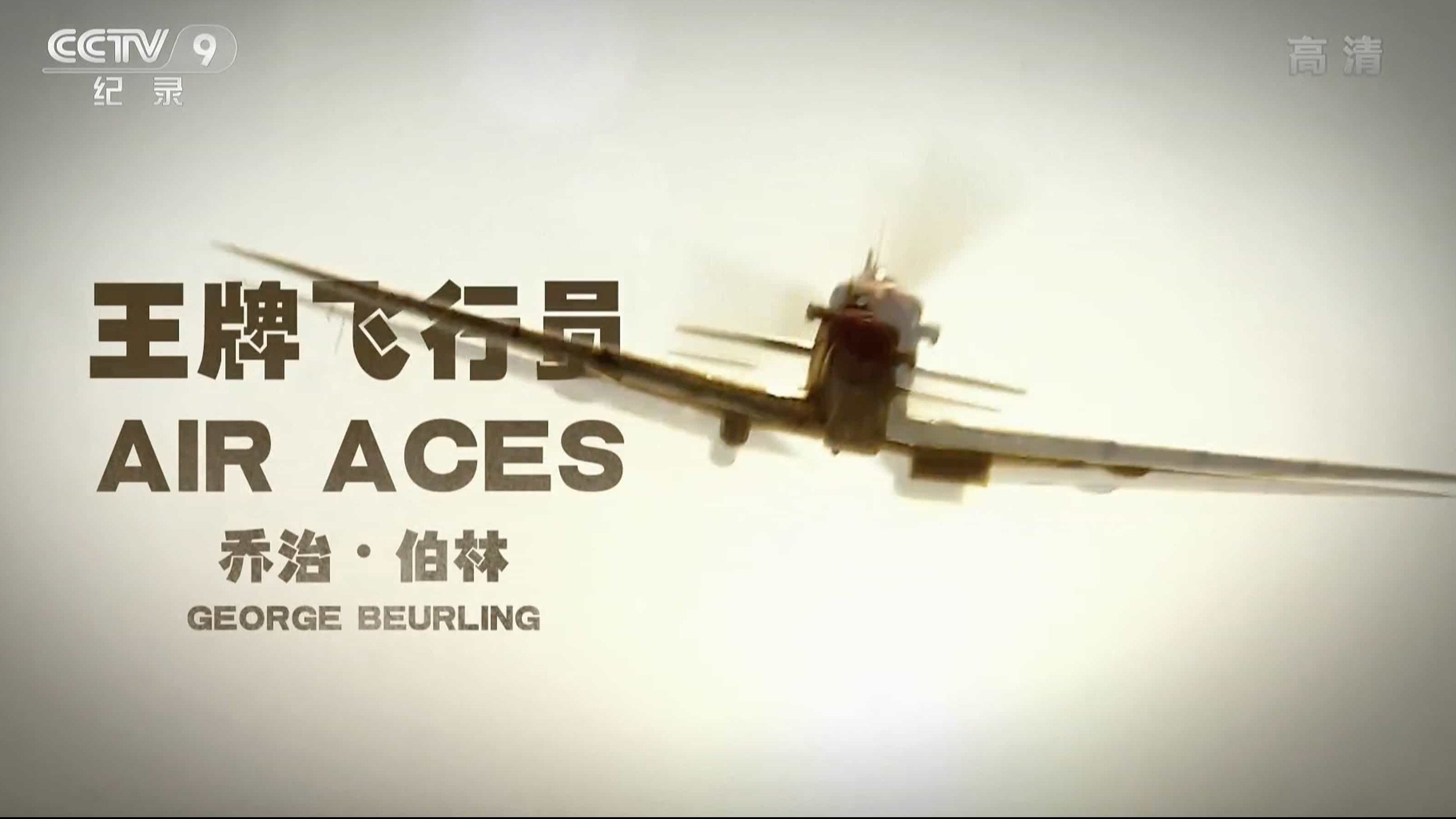 央视空战纪录片《王牌飞行员 Air Aces 2015》全5集 汉语中字