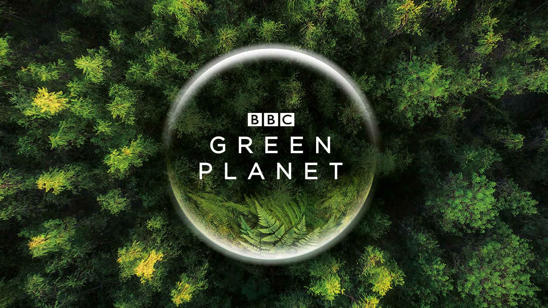 《绿色星球 The Green Planet 2022》全5集 国英双语中英双字 4K高清/MP4下载