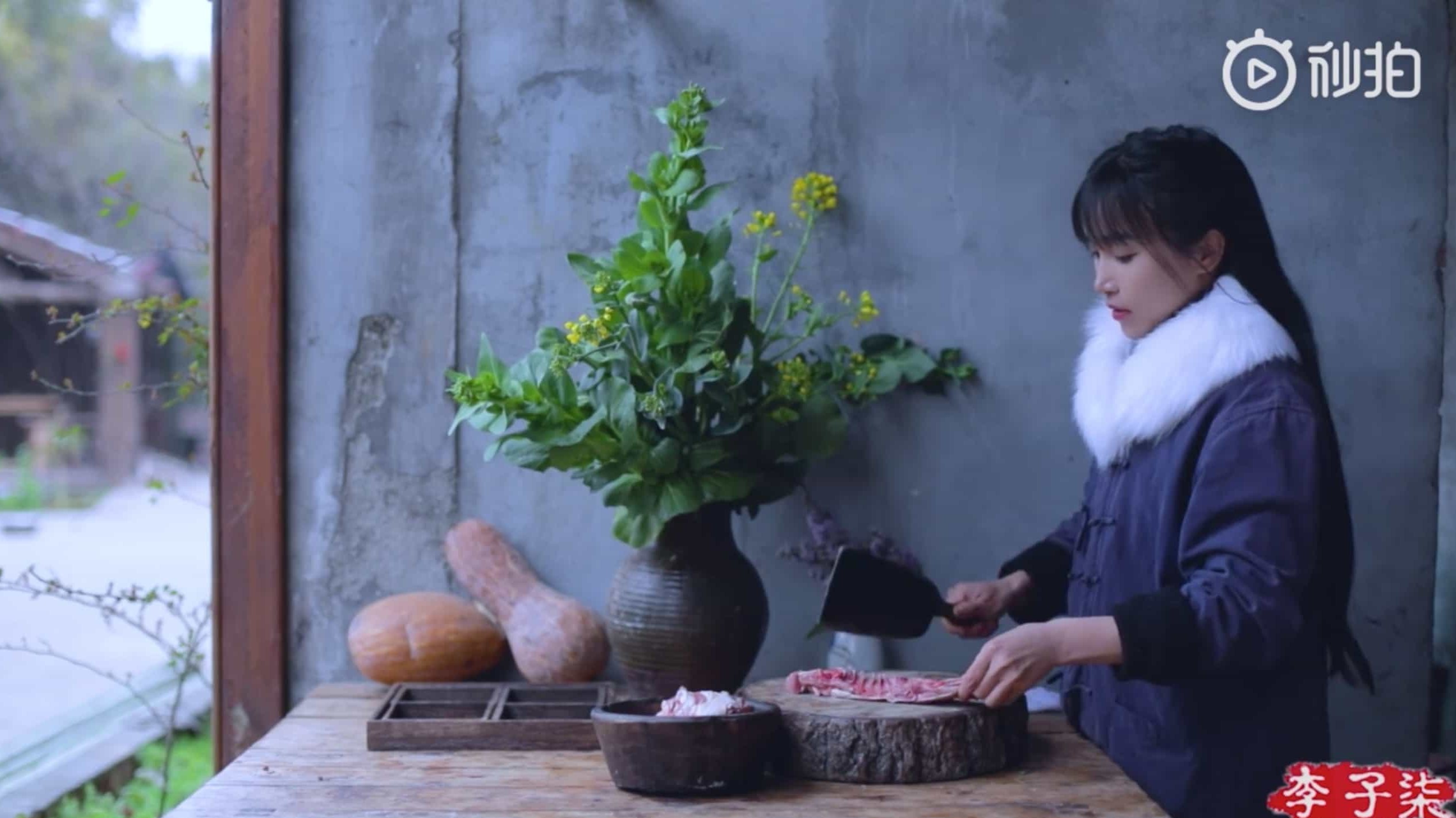 美食真人秀/中国美食系列《李子柒2015-2021》 国语中字 1080P高清下载