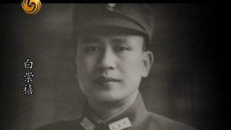凤凰大视野《国军将领生平纪事：小诸葛白崇禧 2012》 汉语中字 标清纪录片