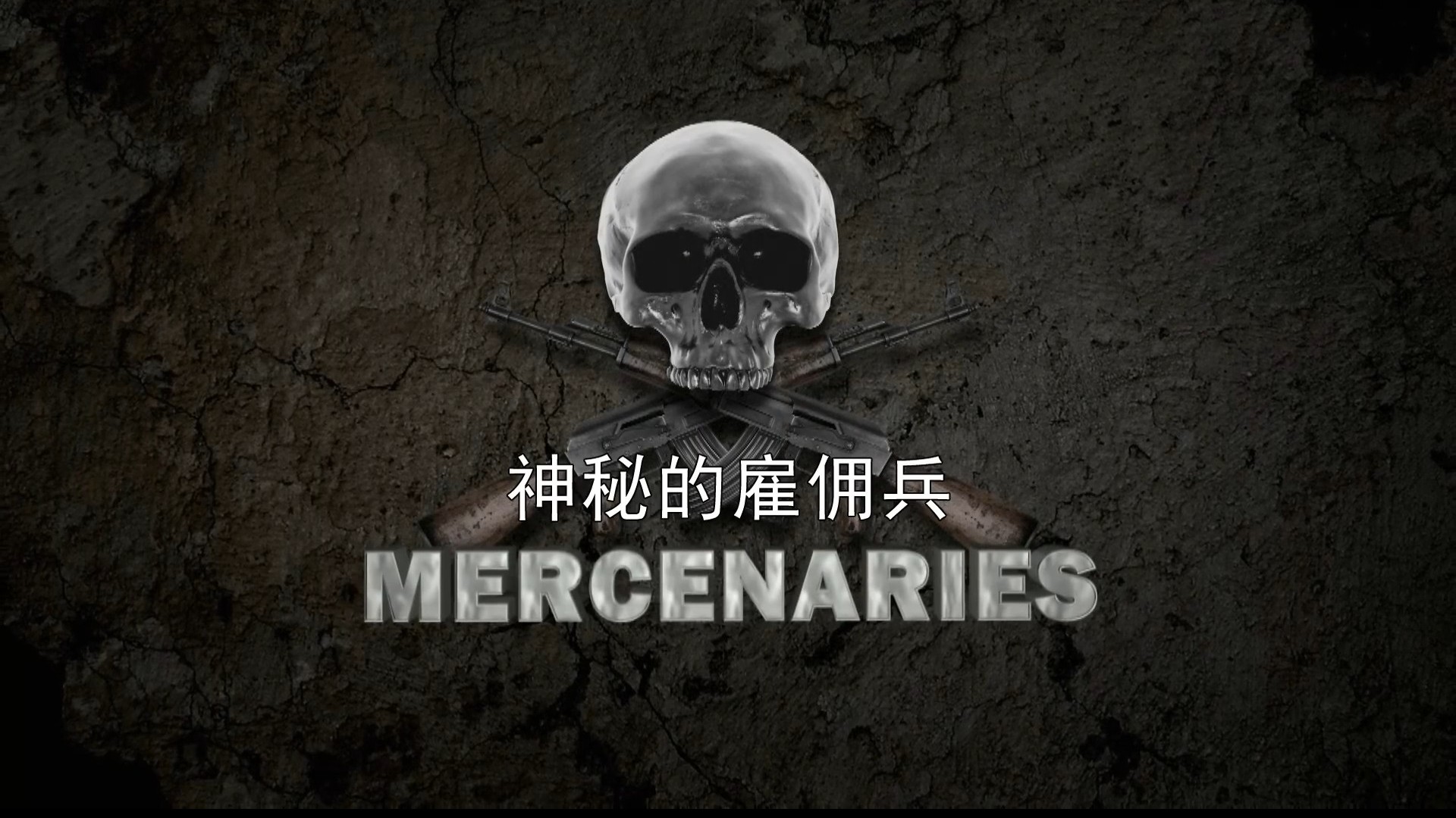军事纪录片《神秘的雇佣兵 Mercenaries 2015》全5集 英语内嵌中字 1080P高清纪录片