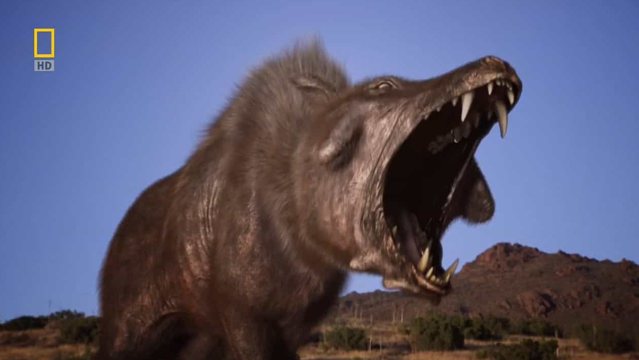 国家地理《史前掠食动物 Prehistoric Predators》全7集 英语中字 高清纪录片
