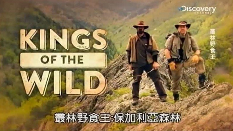 探索频道/世界美食系列《丛林野食王 Kings of the Wild》全6集 英语内嵌中字 标清下载