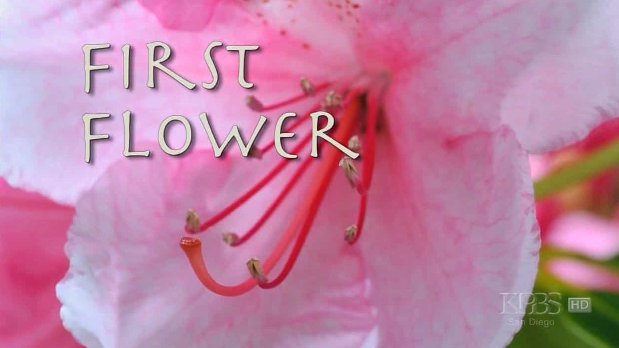 PBS纪录片《第一朵花 First Flower 2007》英语无字 720P高清纪录片下载