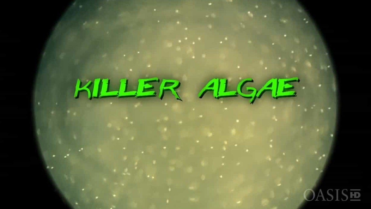 OASIS HD/法国纪录片《杀手藻 Killer Algae 2009》英语无字 720P高清下载
