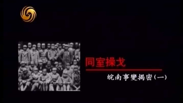凤凰大视野《同室操戈——皖南事变揭秘 2011》全5集 国语中字 标清 下载