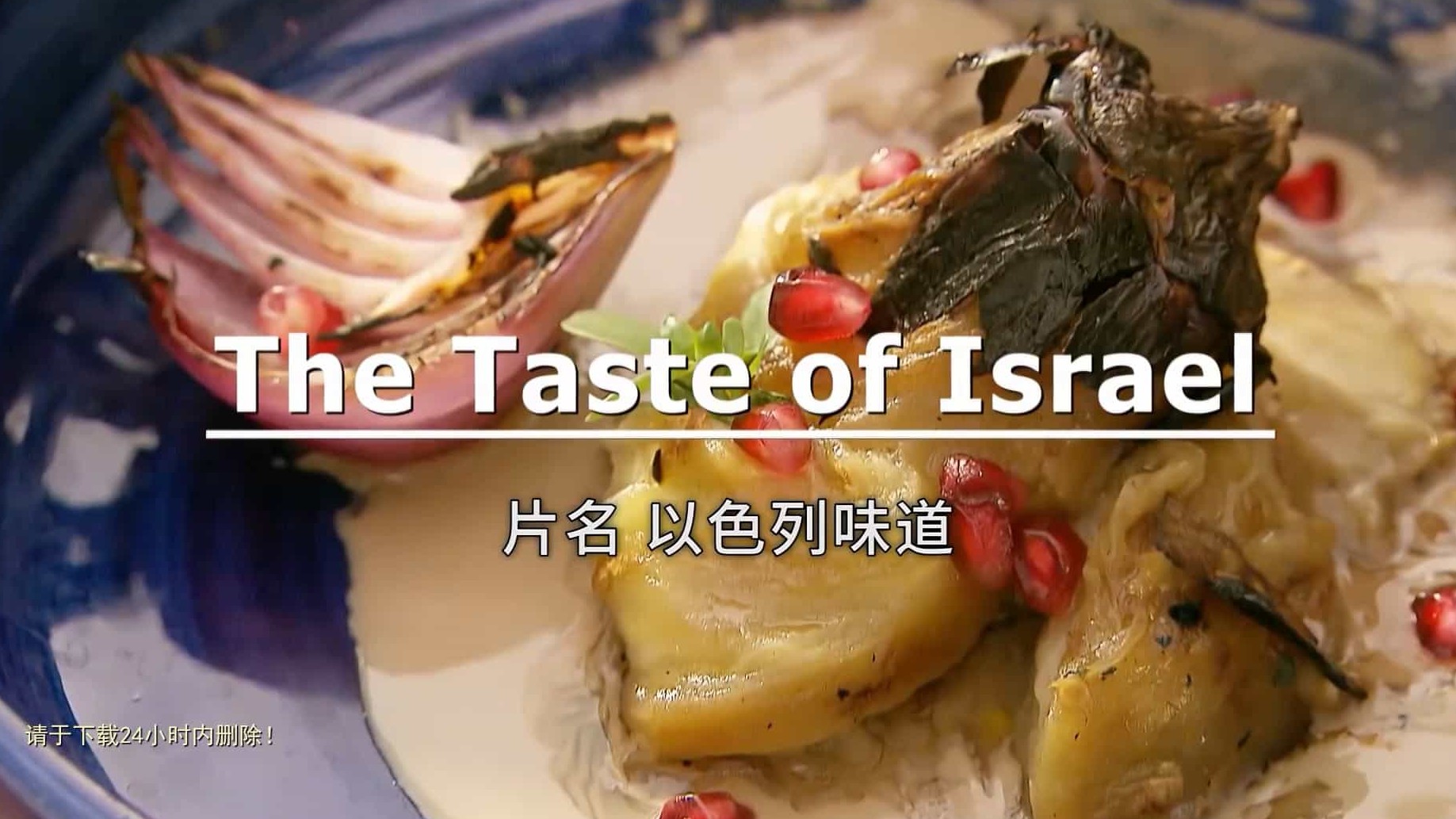 美食纪录片/世界美食系列《舌尖上的以色列/以色列味道 The Taste of Israel》全3集 英语内嵌中英双字 1080P高清下载