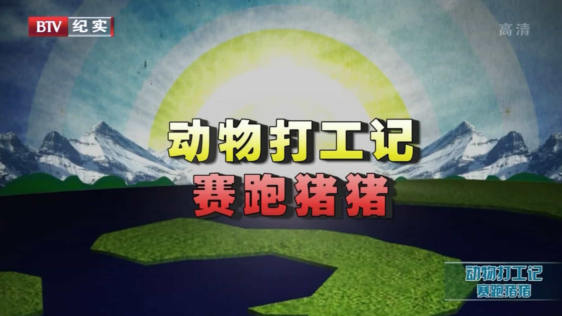 CBBC纪录片/萌宠系列《动物打工记 Animals at Work 2008》全8集 英语内嵌中字 BTV引进版 1080i高清下载