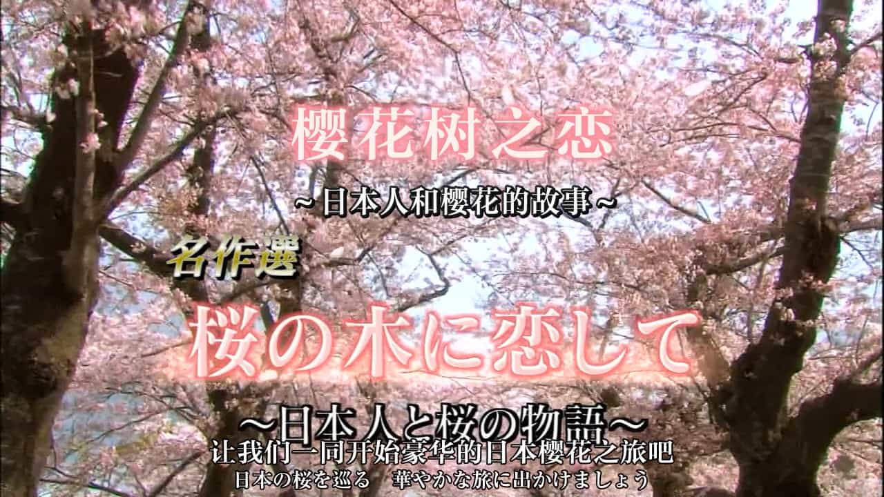 NHK纪录片《樱花树之恋 ~日本人和樱花的故事~》全1集 日语内嵌中日双字 720P高清下载