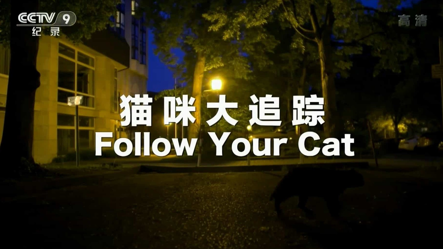 央视纪录片/萌宠系列《猫咪大追踪 Follow Your Cat》国语中字 1080P高清下载