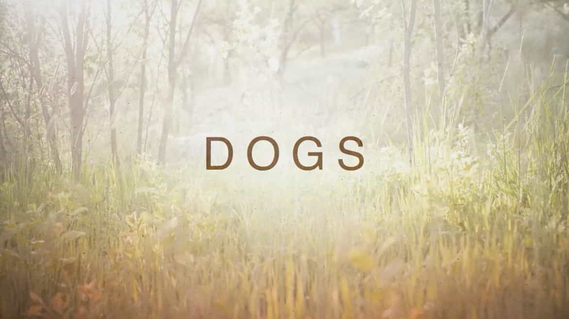 NetFlix纪录片/萌宠系列《爱犬情深 Dogs》全2季 共10集 英语中字 720P高清下载