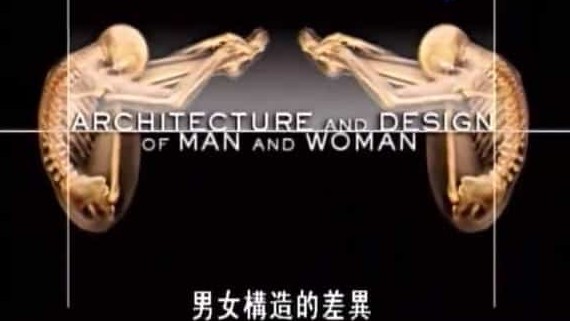 探索频道/性教育系列《人体奇航 2005》全3集 英语内嵌中字 标清下载