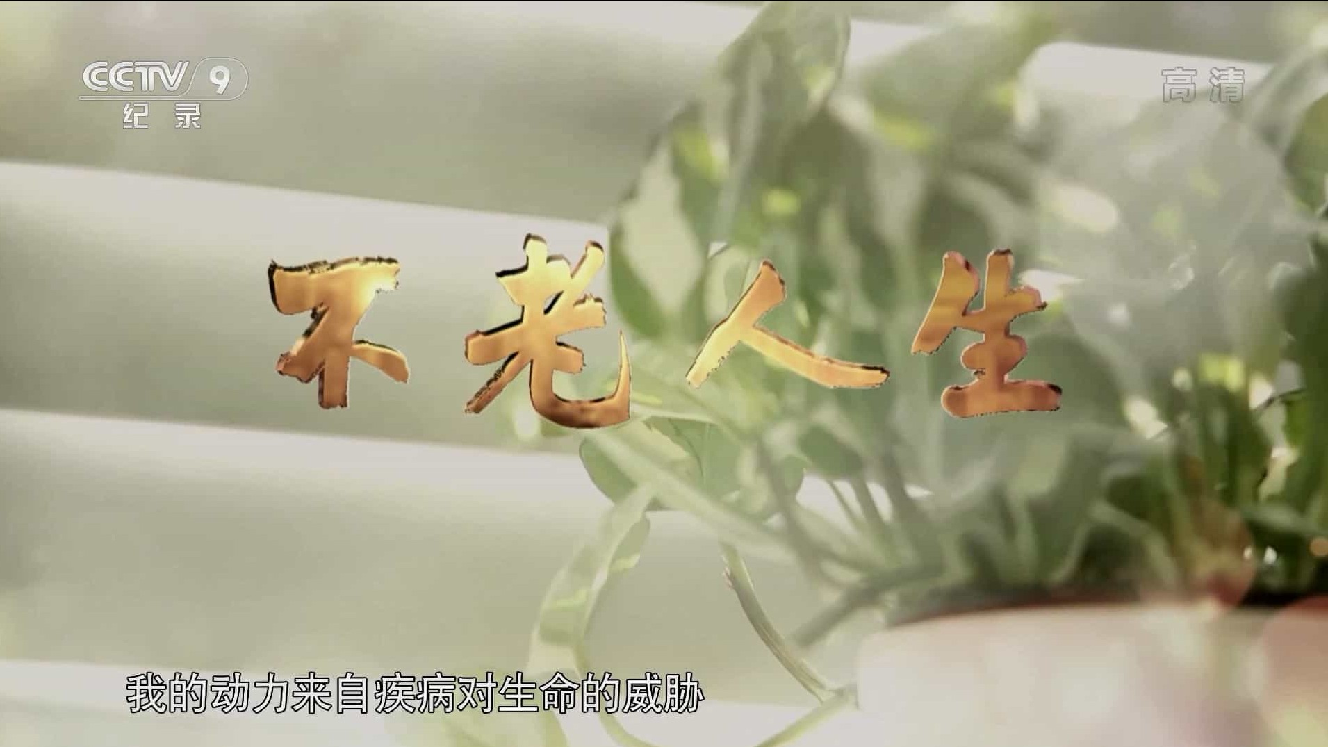 央视纪录片《不老人生 2019》全6集 国语中字 1080i高清下载