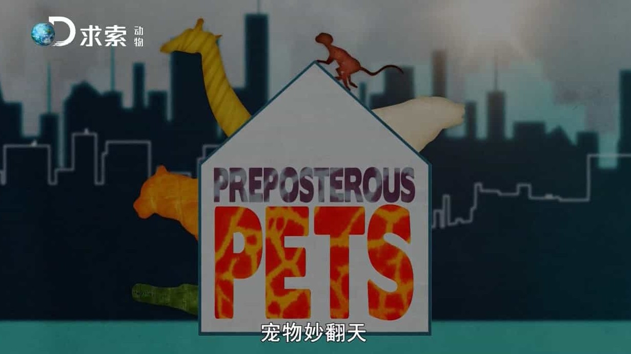 探索频道/萌宠系列《宠物妙翻天 Preposterous Pets》全6集 国语中字 720P高清下载