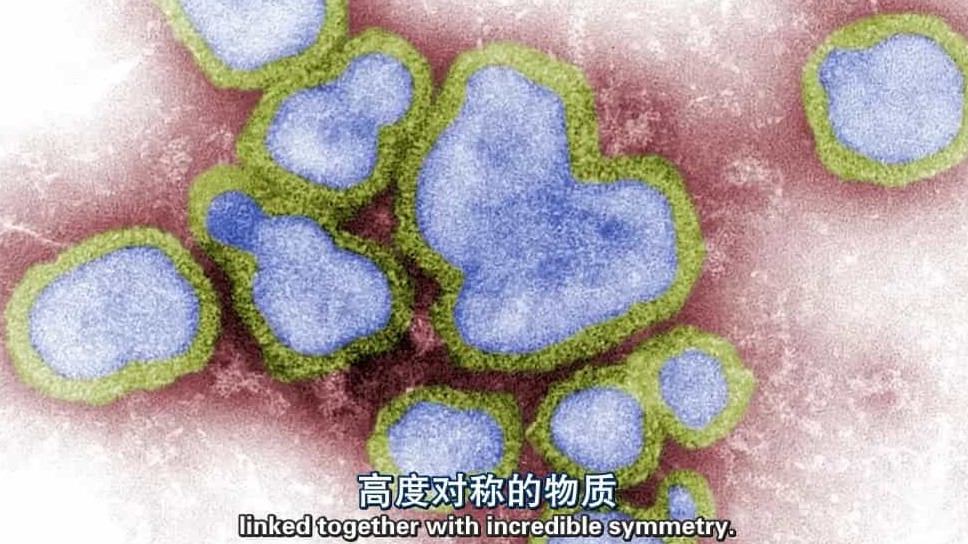 BBC纪录片/地平线系列《病毒为何致命 Why Do Viruses Kill 2010》全1集 英语中字 标清下载