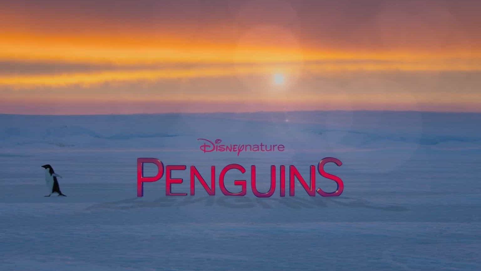 迪斯尼纪录片《企鹅/企鹅小萌萌 Penguins (2019)》英语中字 1080p高清下载