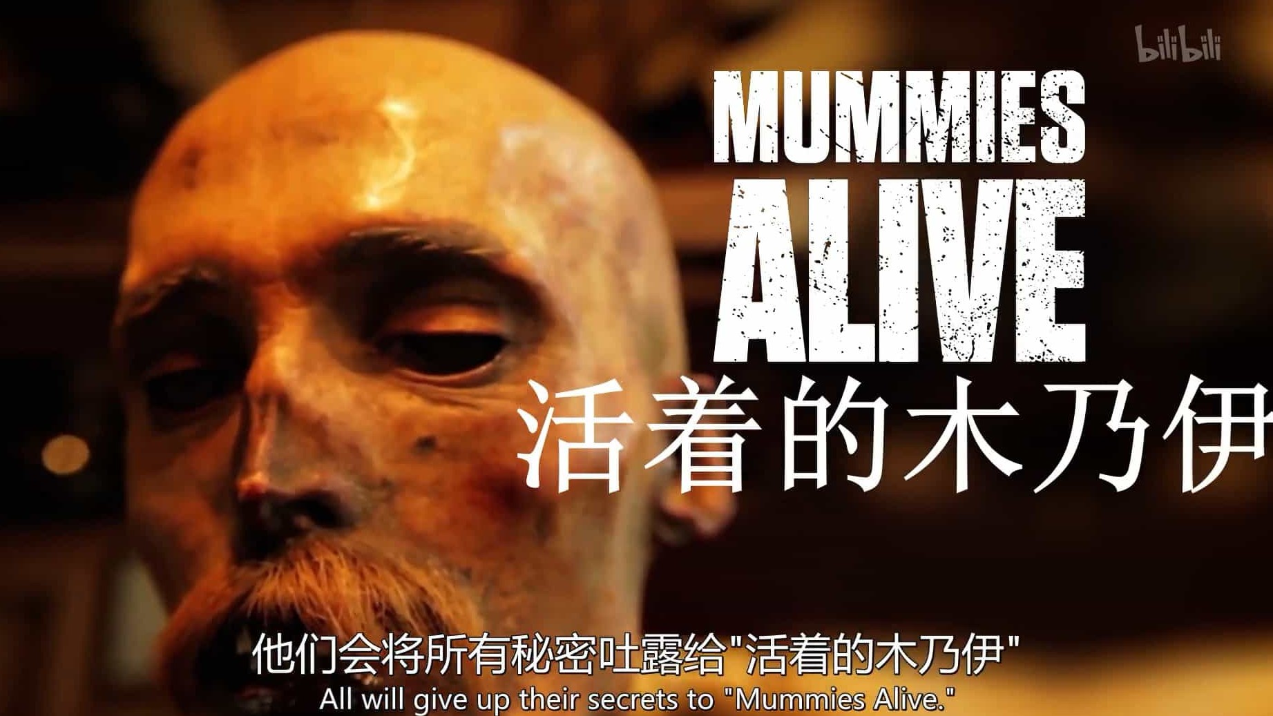 加拿大纪录片《木乃伊复活/活着的木乃伊 Mummies Alive 2015》全6集 英语中英双字 1080P高清下载