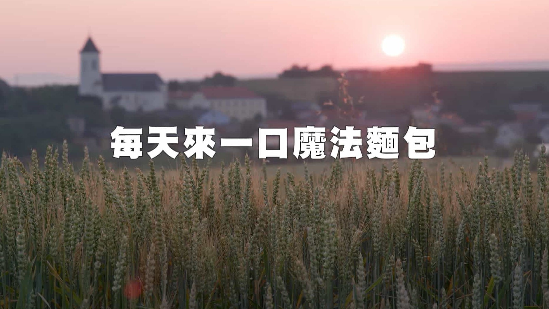 面包纪录片《面包的艺术/每天来一口魔法面包Schönes neues Brot / De la farine au four, quel pain ? / Bread 2020》全1集 德语中字 1080P高清下载