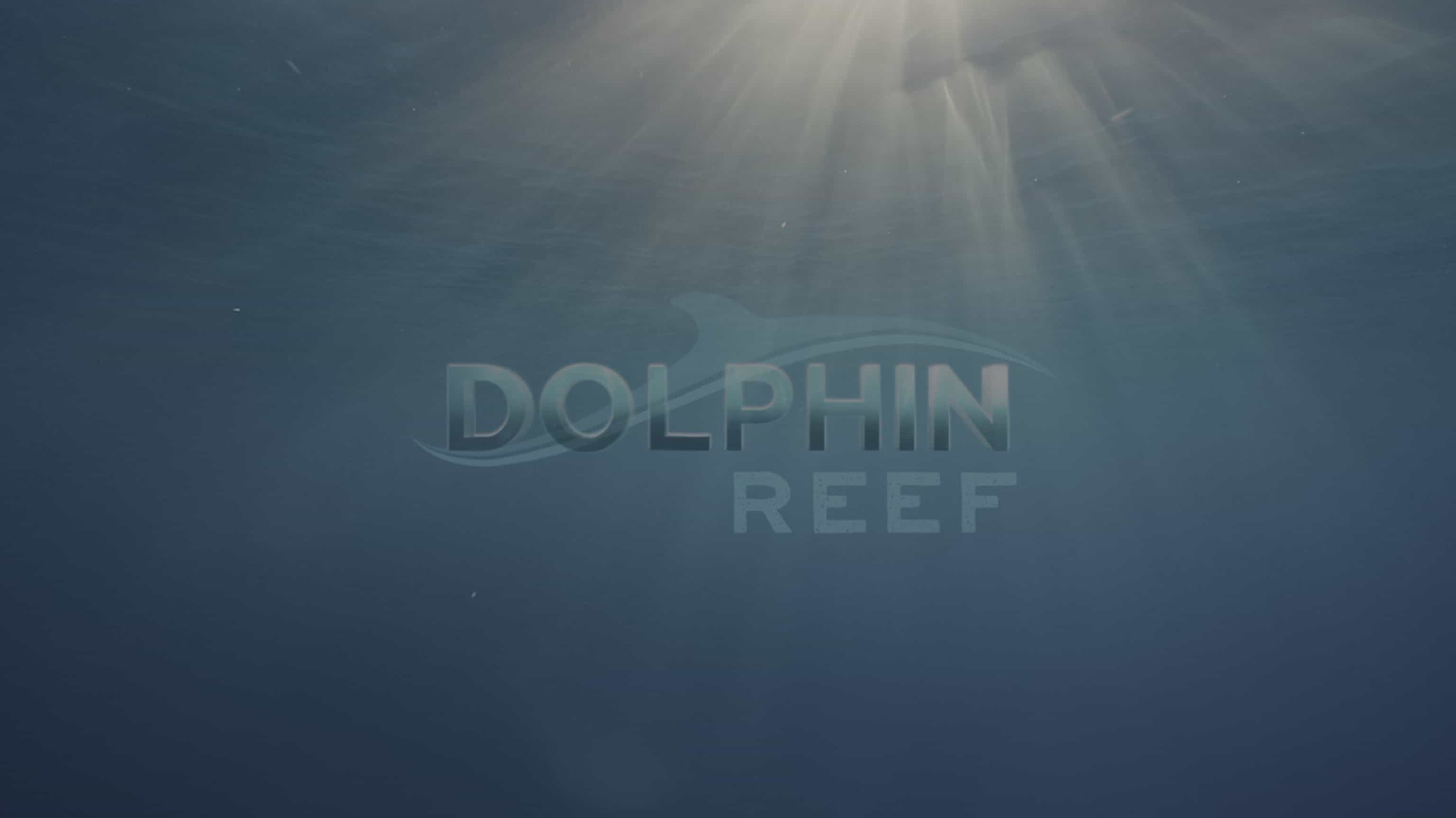迪士尼自然纪录片《海豚礁 Dolphin Reef 2020》英语多国字幕 4k超高清下载