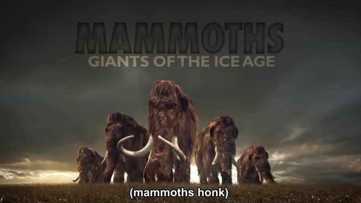 ZDF纪录片《猛犸—冰河时期的巨象/猛犸象：冰河世纪的巨兽 Mammoths Giants Of The Ice Age 2015》全1集 英语英字 720P高清下载