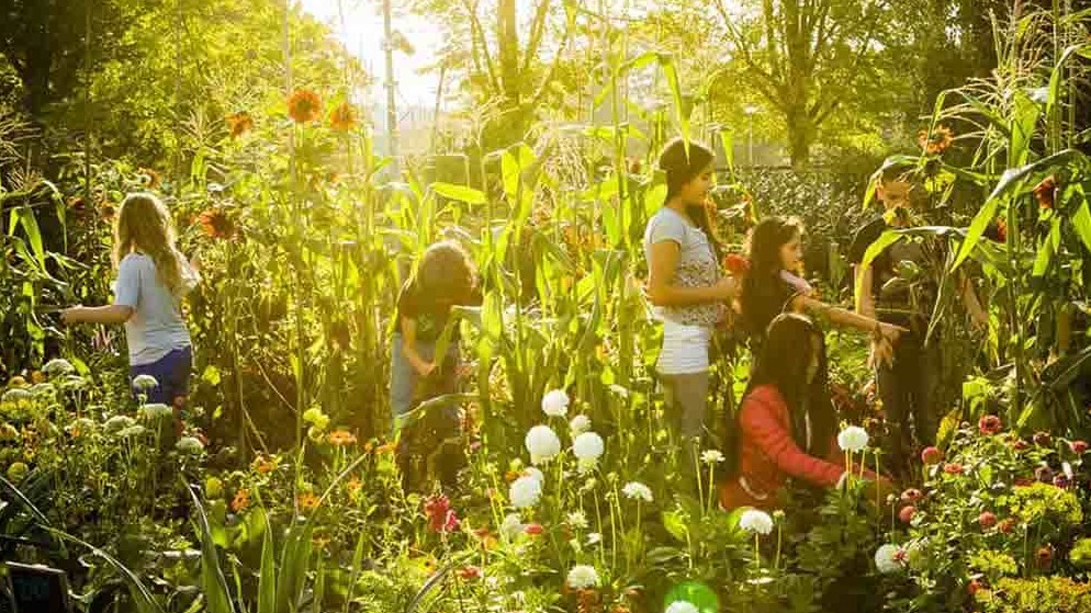 纪录片《菜园学堂 De Schooltuin 2020/The School Garden》全1集 荷兰语中字 1080P高清下载