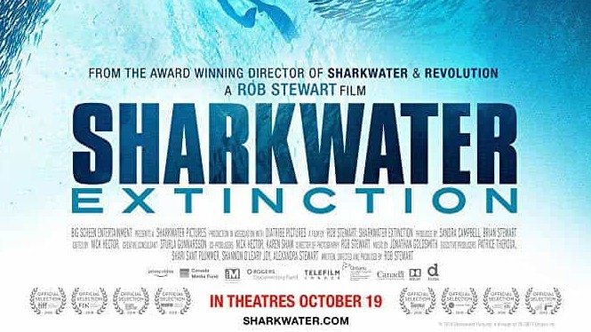 动物保护纪录片《鲨鱼海洋：灭绝 Sharkwater Extinction 2018》全1集 英语中字 1080P高清下载