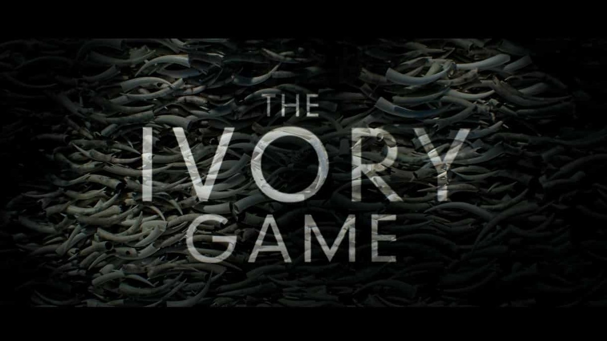Netflix纪录片/动物保护《奥地利:象牙之战 The Ivory Game 2016》全1集 英语中英双字 720P高清下载