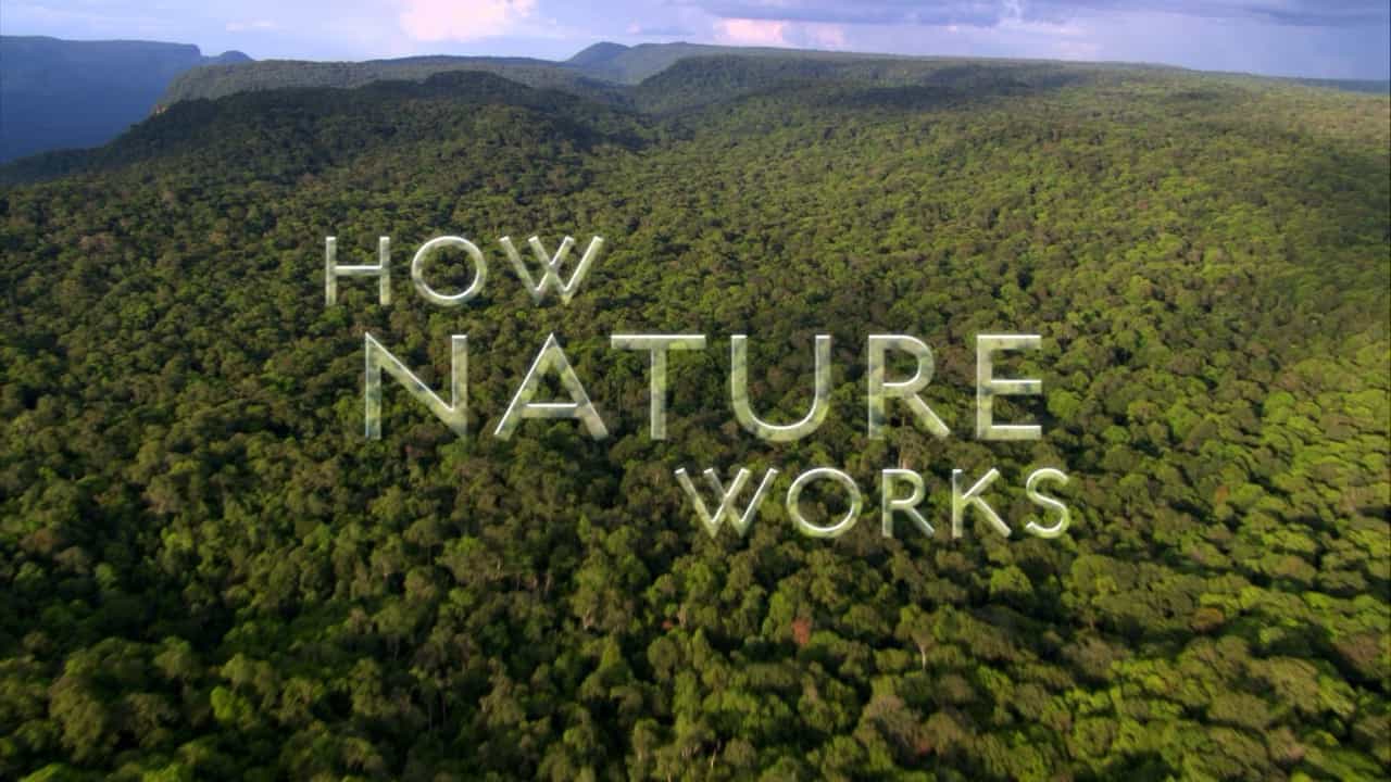 精选系列/BBC纪录片《大自然法则/自然的运作 How Nature Works》全4集 英语中字 1080P高清网盘下载