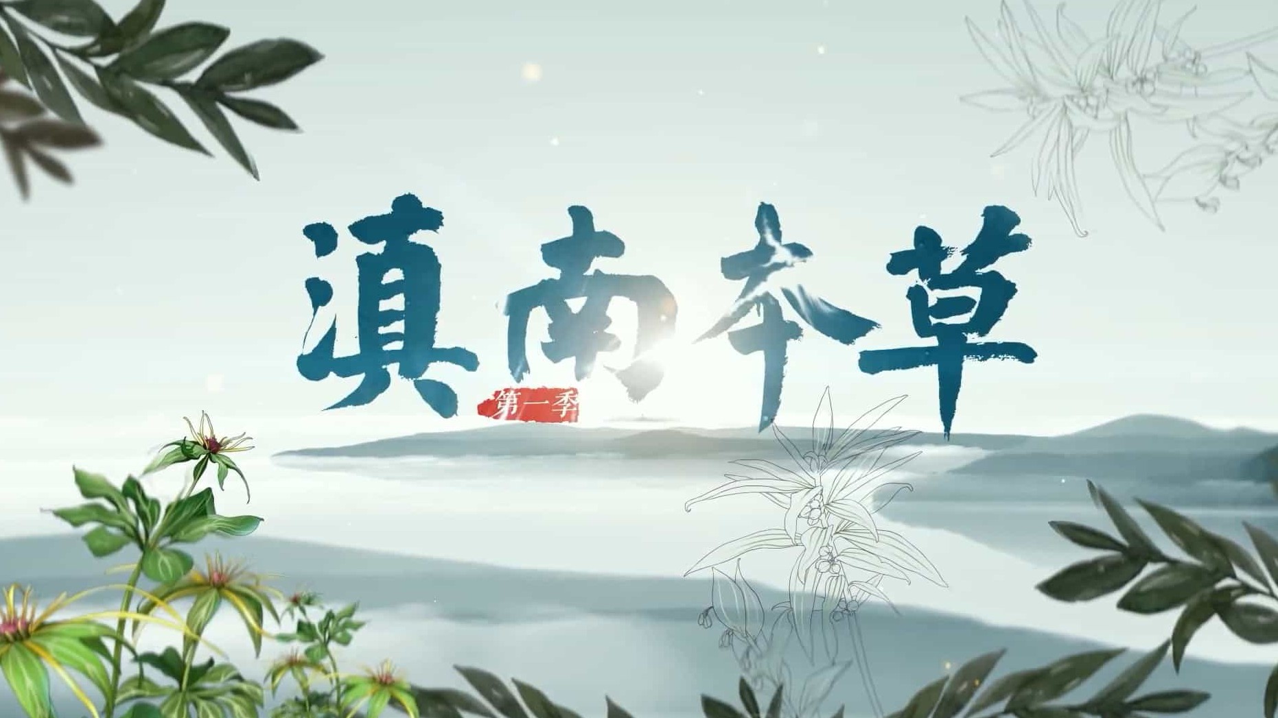 中医纪录片《滇南本草 2021》全5集 国语中字 1080P高清网盘下载