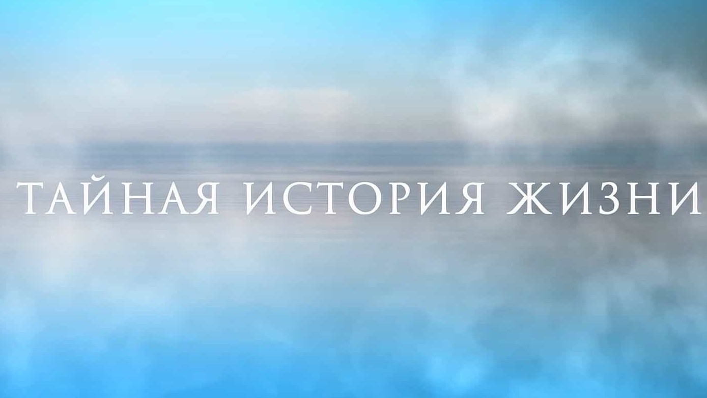 俄罗斯纪录片《神奇的贝加尔湖 2021》全1集 俄语中字 1080P高清网盘下载