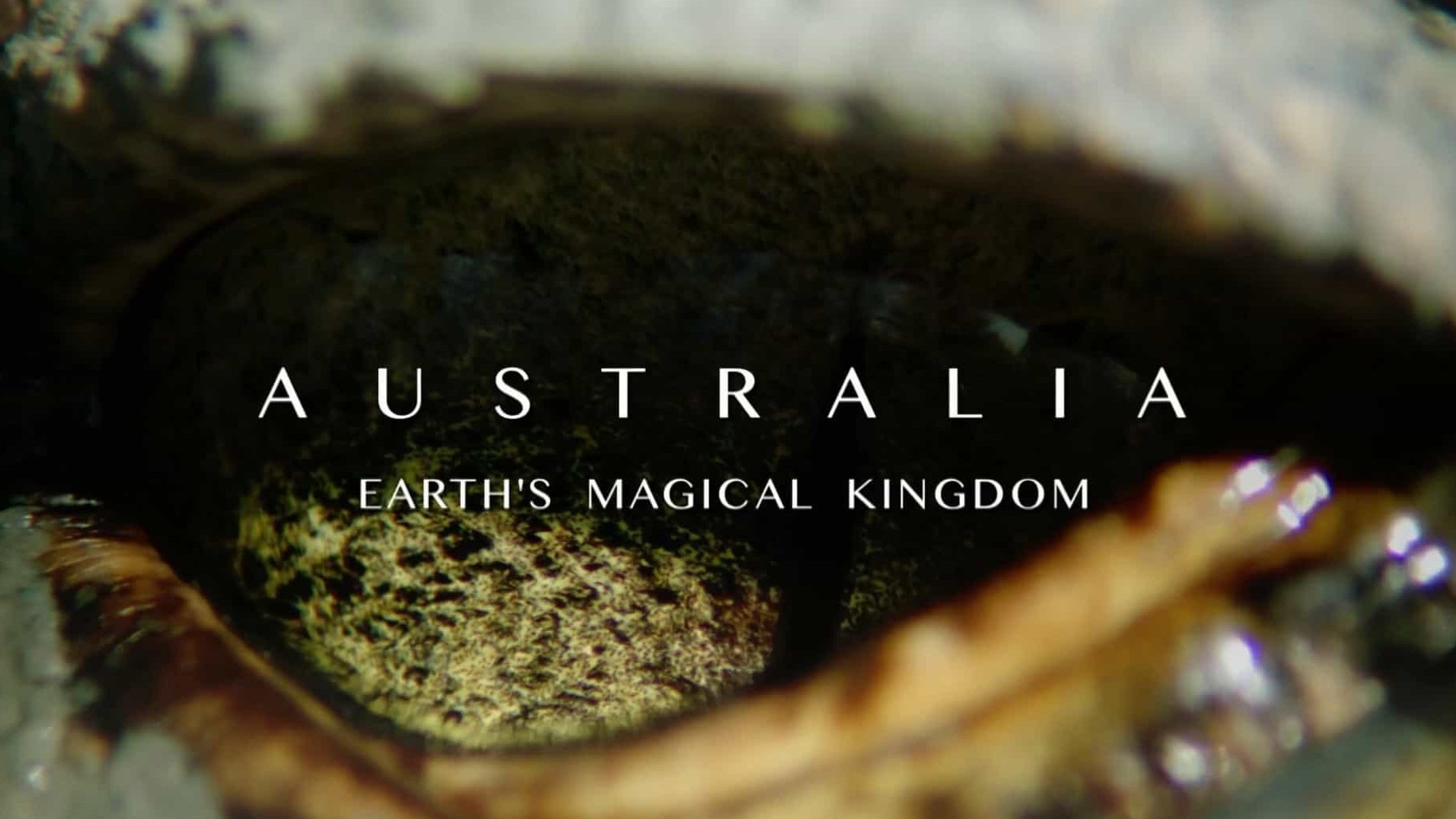 BBC纪录片《澳大利亚：地球魔幻王国/绿野仙澳  Australia: Earth