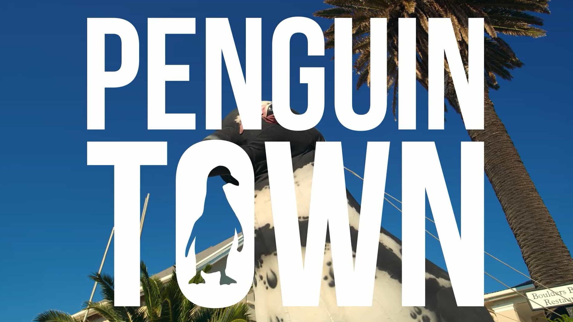 Netflix纪录片《企鹅小镇/企鹅镇/企鹅姊妹初长成 Penguin Town 2021》全8集 英语中字 1080P高清网盘下载