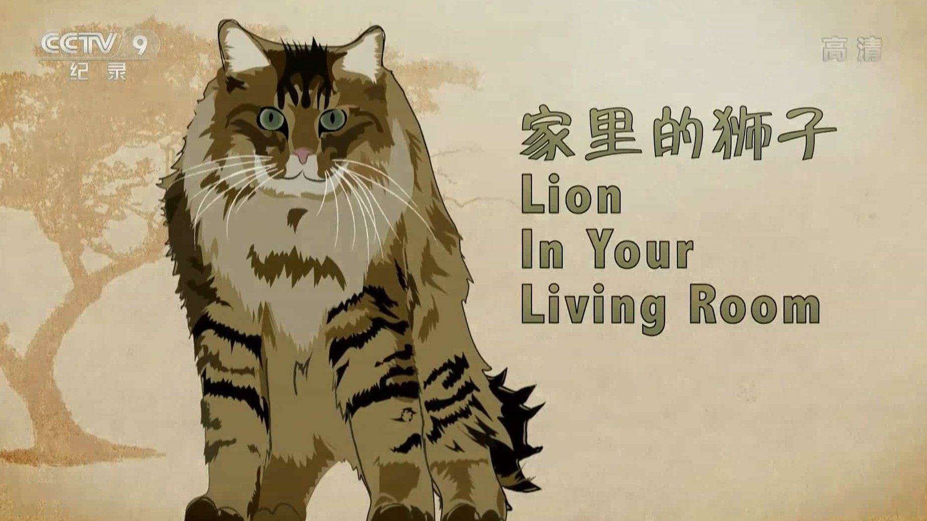 CBC纪录片/萌宠系列《家里的狮子 Lion in Your Living Room 2018》全1集 国语中字 1080i高清网盘下载