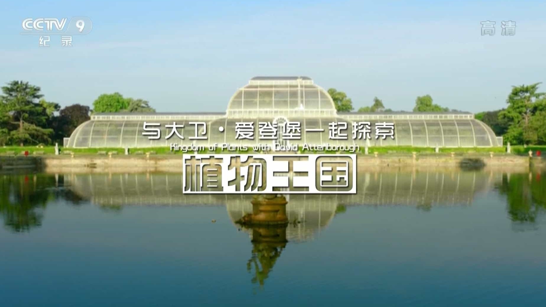 央视纪录片《与大卫·爱登堡一起探索植物王国 Kingdom of Plants with David Attenborough 2015》全4集 国语中字 1080P高清网盘下载