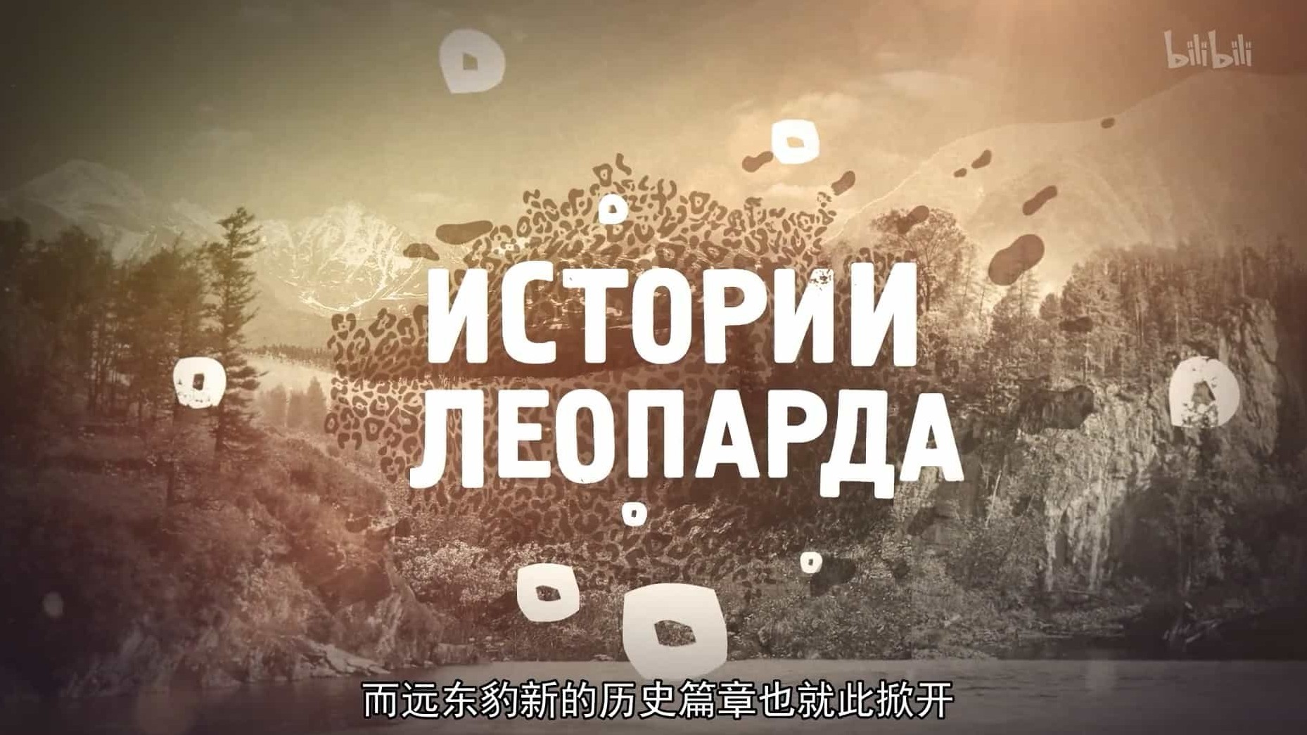 俄罗斯纪录片《豹子故事》全14集 俄语中字 1080P高清网盘下载