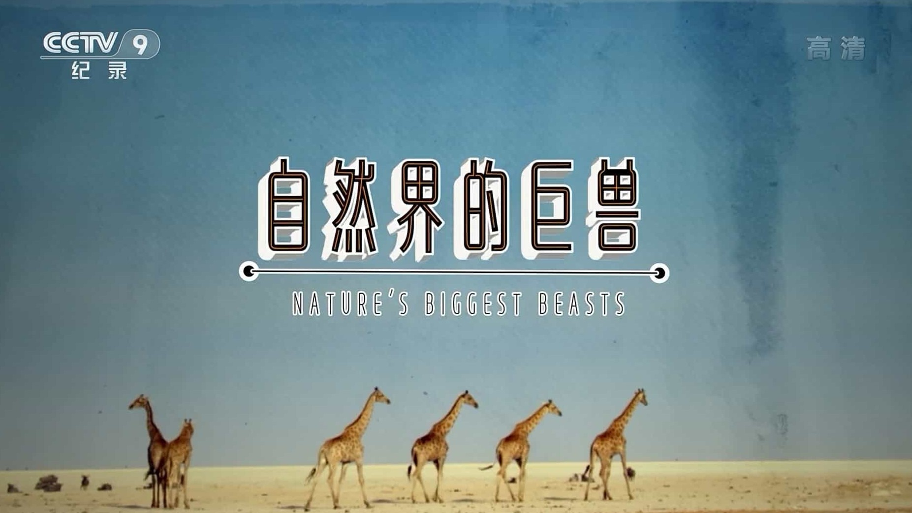 BBC原版纪录片《最大野兽 Nature