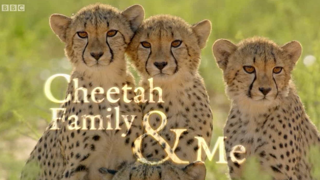 BBC纪录片《猎豹家族和我 Cheetah Family & Me 2021》第1季全2集 英语英字 720P高清网盘下载