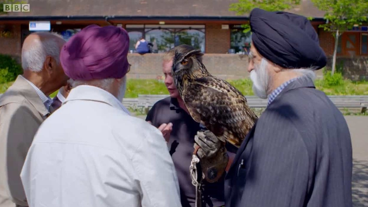 BBC纪录片《英国防止虐待动物协会的问题 Trouble at the RSPCA 2017》全1集 英语英字 720P高清网盘下载