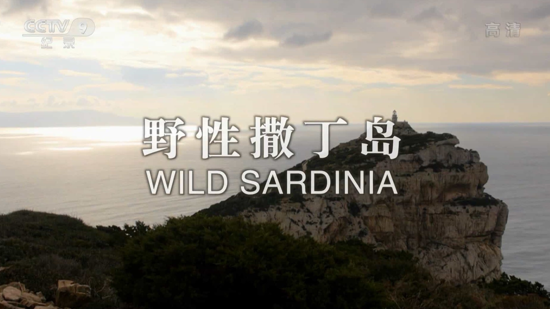 西班牙纪录片《野性撒丁岛 Wild Sardinia 2017》全1集 国语中字 1080P高清网盘下载