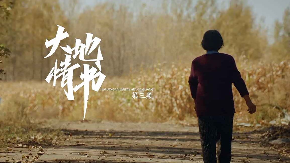 国产纪录片《大地情书/黑土地和她的朋友们 Rotation of Earth and Love 2020》全5集 国语中字 4K超高清网盘下载