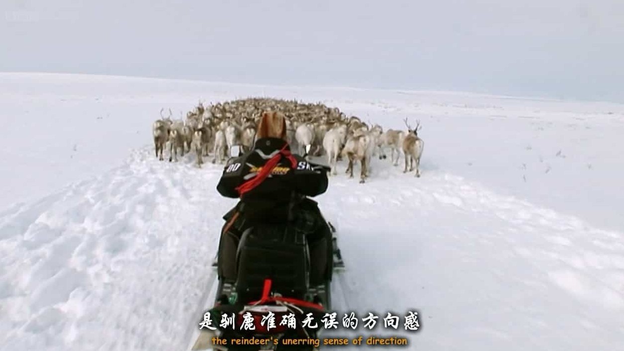 BBC纪录片《自然世界 驯鹿女孩/驯鹿少女 Natural World Reindeer Girls》全1集 英语中字 720P高清网盘下载 