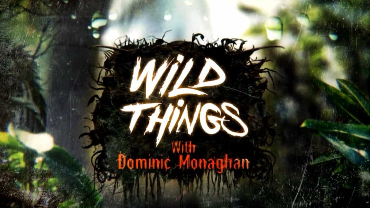 BBC纪录片《玩命接触 Wild Things With Dominic Monaghan》第1-3季共31集 国语中字 1080P高清网盘下载