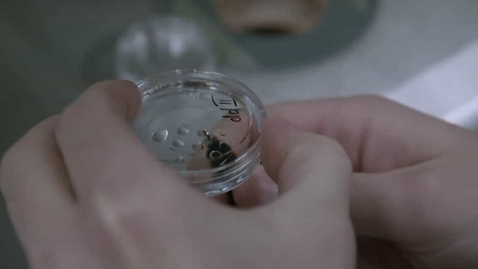 Netflix纪录片《物竞人择/非自然选择 Unnatural Selection》全4集 英语中英双字 1080P高清网盘下载