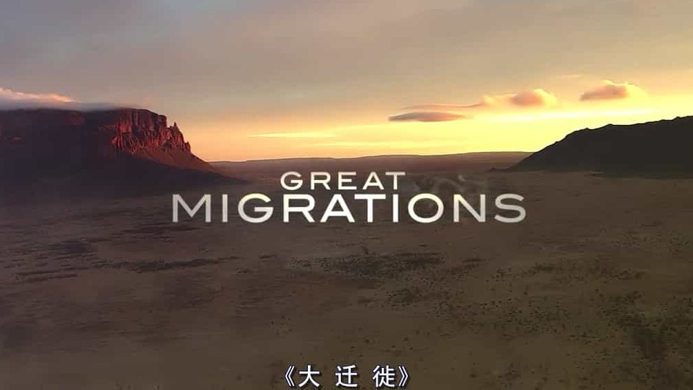  国家地理《非洲大迁徙/非洲动物大迁徙 The Great African Migration 2017》全4集 英语英字 720P高清网盘下载
