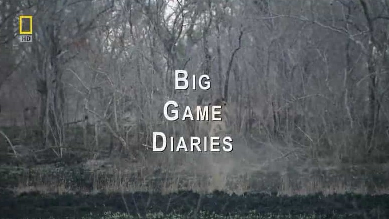 国家地理《大自然生存游戏笔记 Big Game Diaries 2009》全1集 英语中字 720p高清网盘下载 