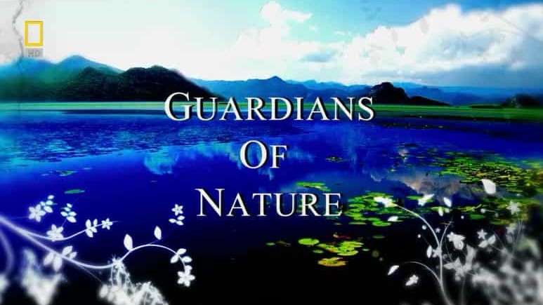 国家地理《守护大自然 Guardians Of Nature》全12集 英语中字 标清网盘下载