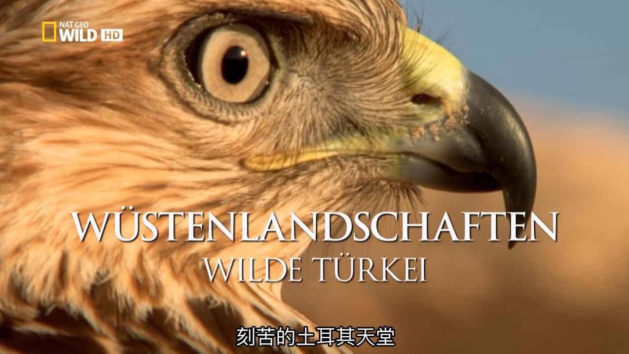 国家地理《中东沙漠之地 Desert Lands of The Middle East》全2集 英语中字 720P高清网盘下载