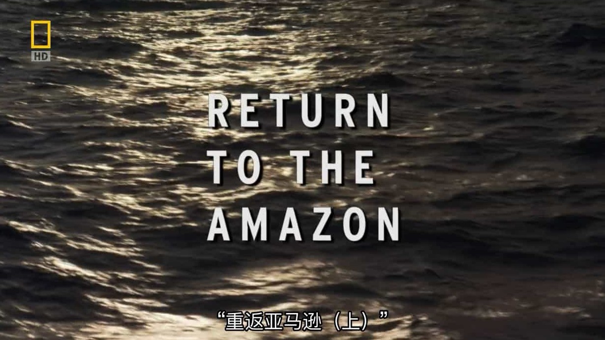 国家地理《尚米榭库斯托:海洋探险 Jean Michel Cousteau Ocean Adventures》全5集 英语中字 720P高清网盘下载